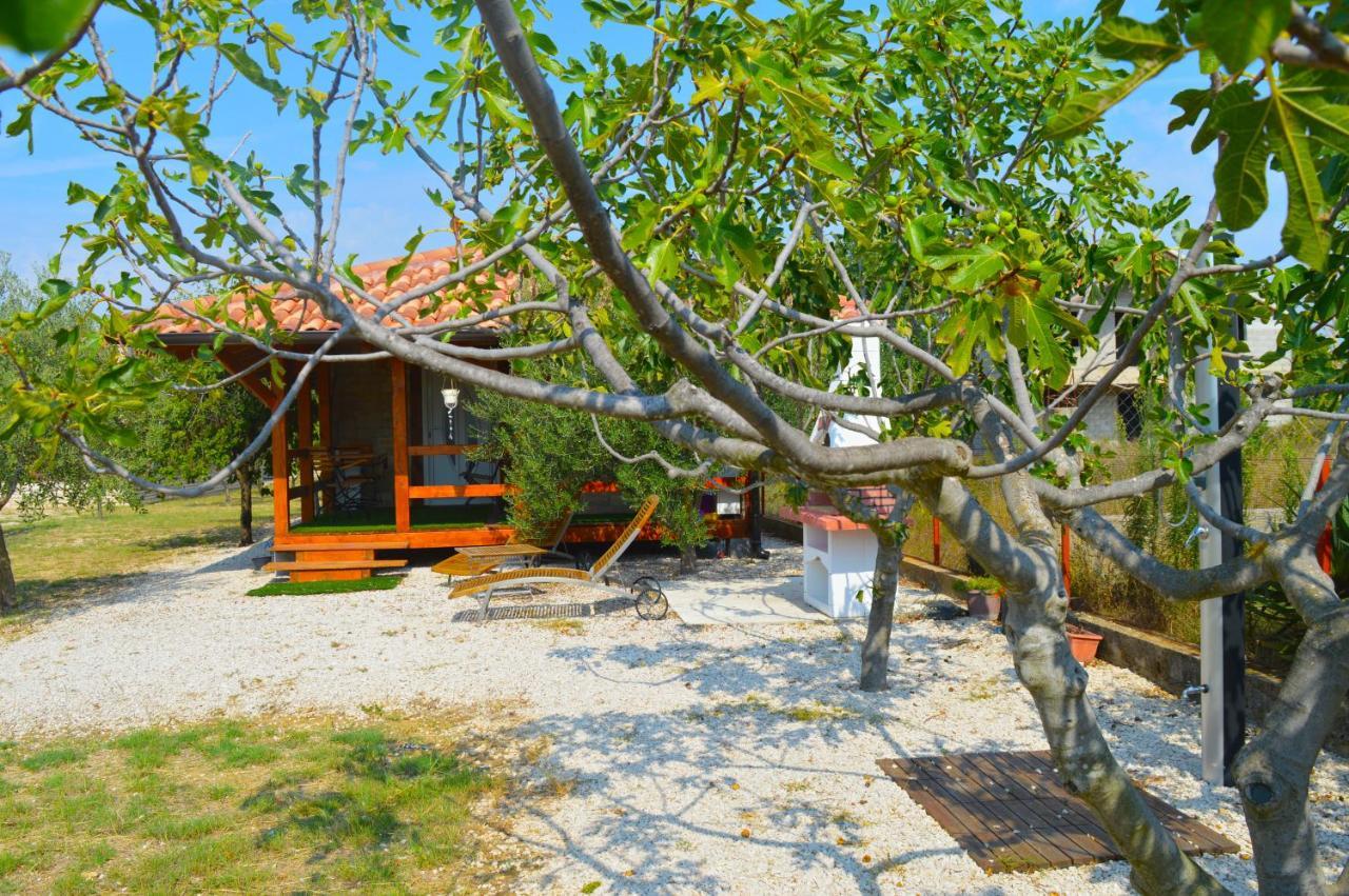 Studio Apartments Luka Biograd - Benkovac Ngoại thất bức ảnh